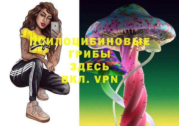 apvp Лагань